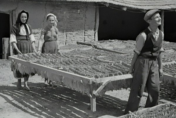 How to legally manage the use of temporary workers in the UK under the Agency Workers Regulations 2010?